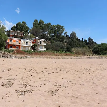 Memi View B1